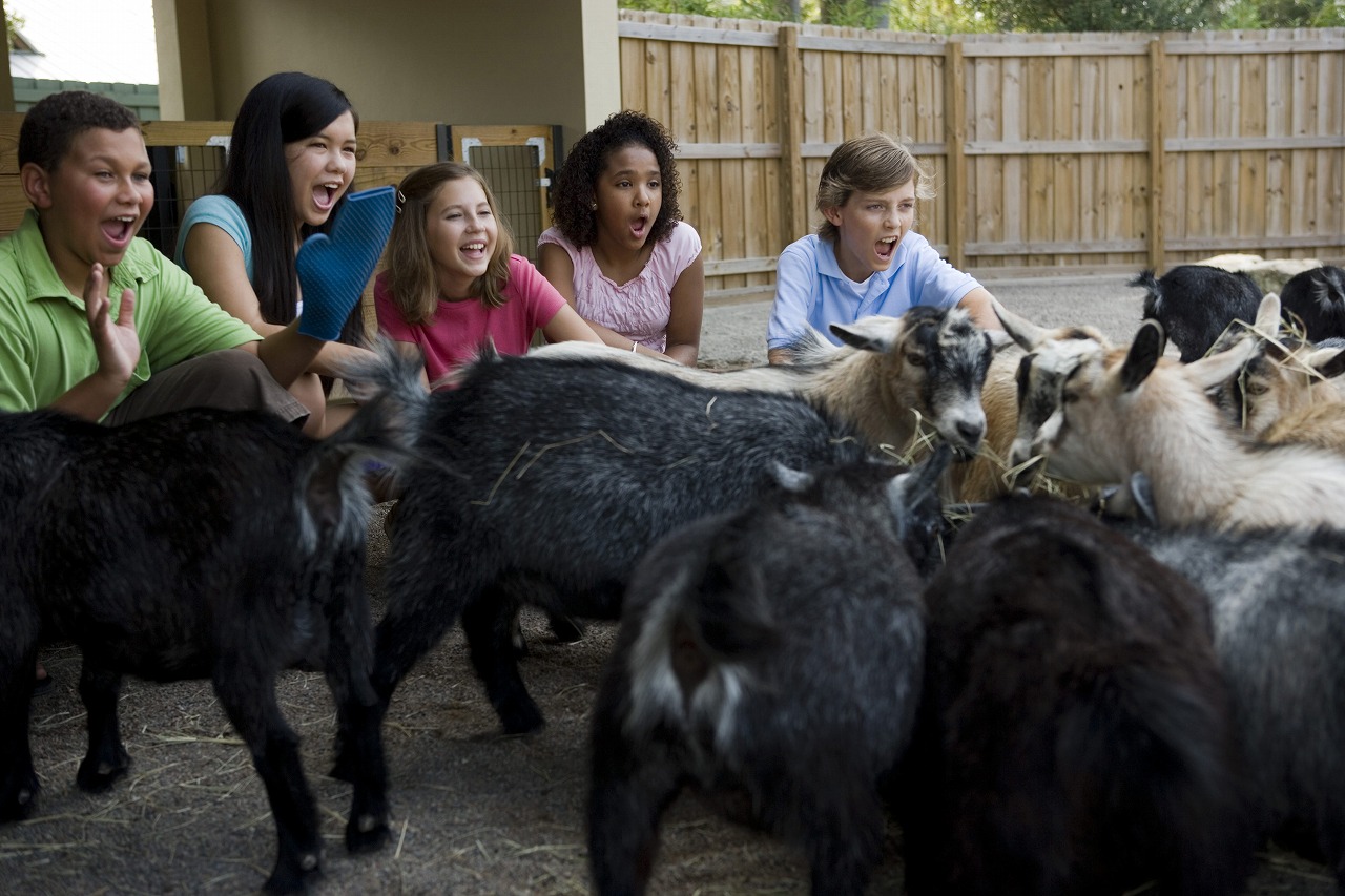 【徒然日記】風太くん@千葉市動物公園