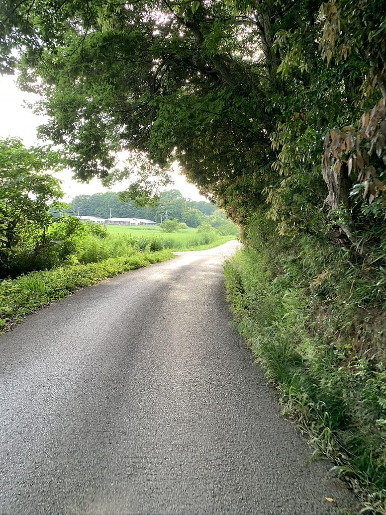 【徒然日記】トトロの森@流山おおたかの森